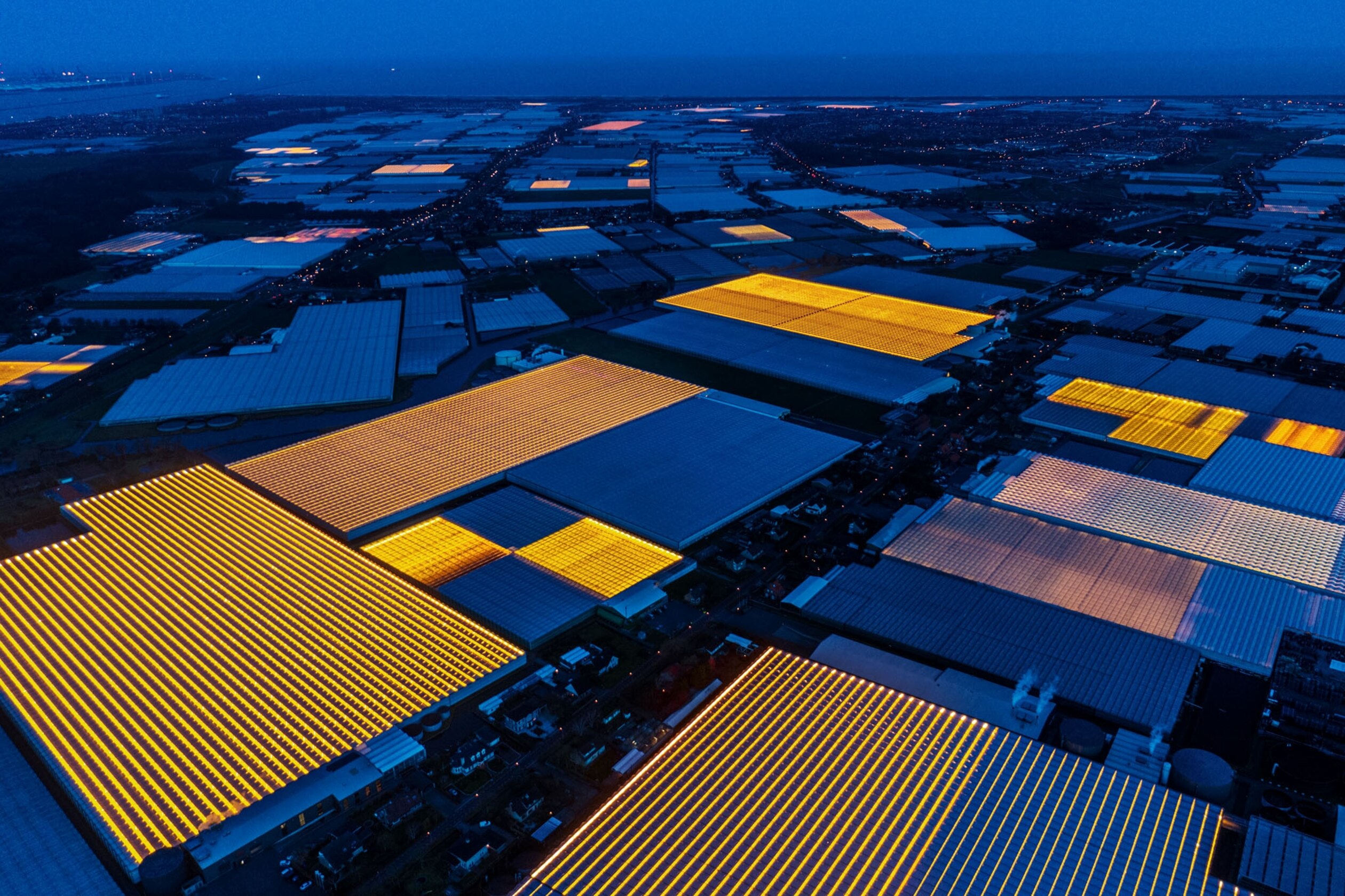 a nighttime view of greenhouses lit bright yellow